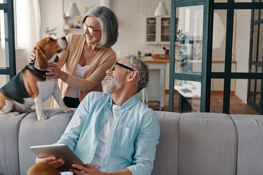 Happy Senior Couple In Casual Clothing Smiling And Taking Care O Happy senior couple in casual clothing smiling and taking care of their dog while bonding together at home
