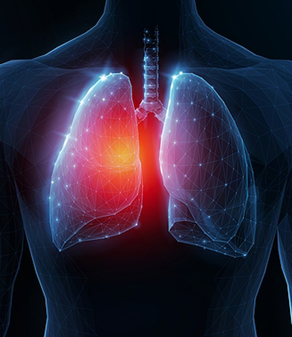 Lung Disease In Human Body. Abstract Vector 3d Lungs And Red Spo